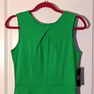 SOLD🌺 NWT Spring Green NY&C Flare Dress